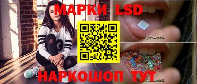 стафф Пенза