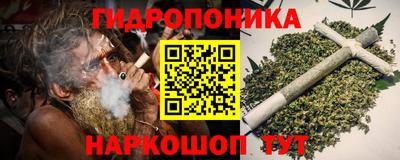 стафф Пенза