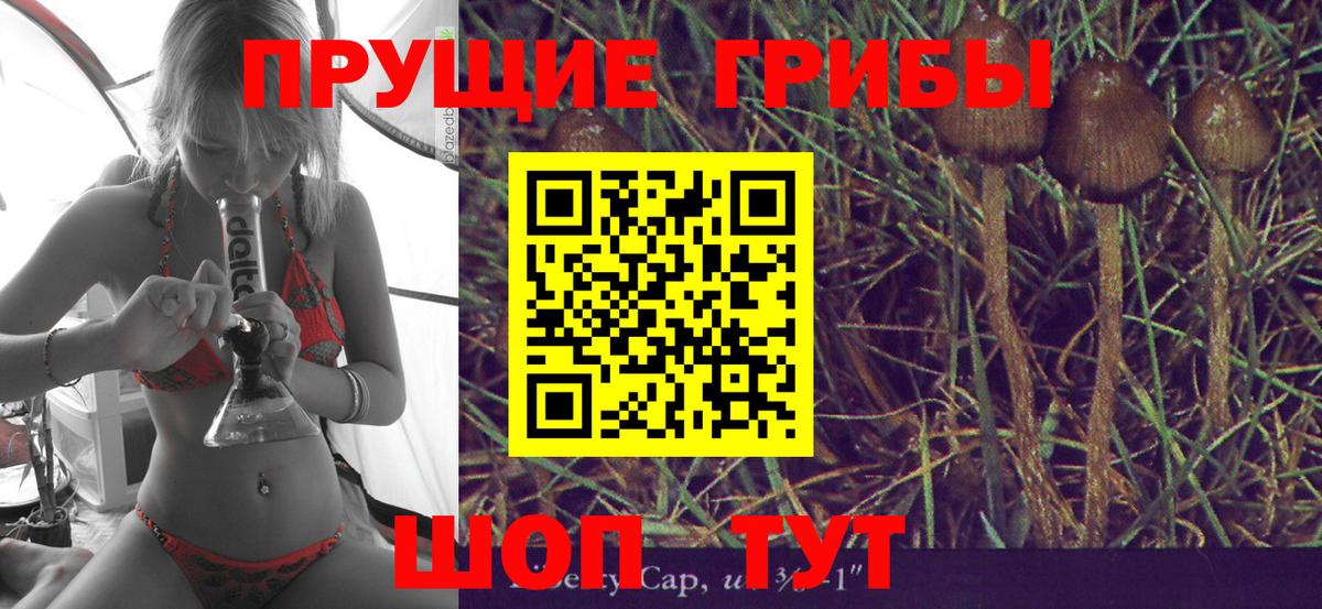 Галлюциногенные грибы Cubensis Уфа